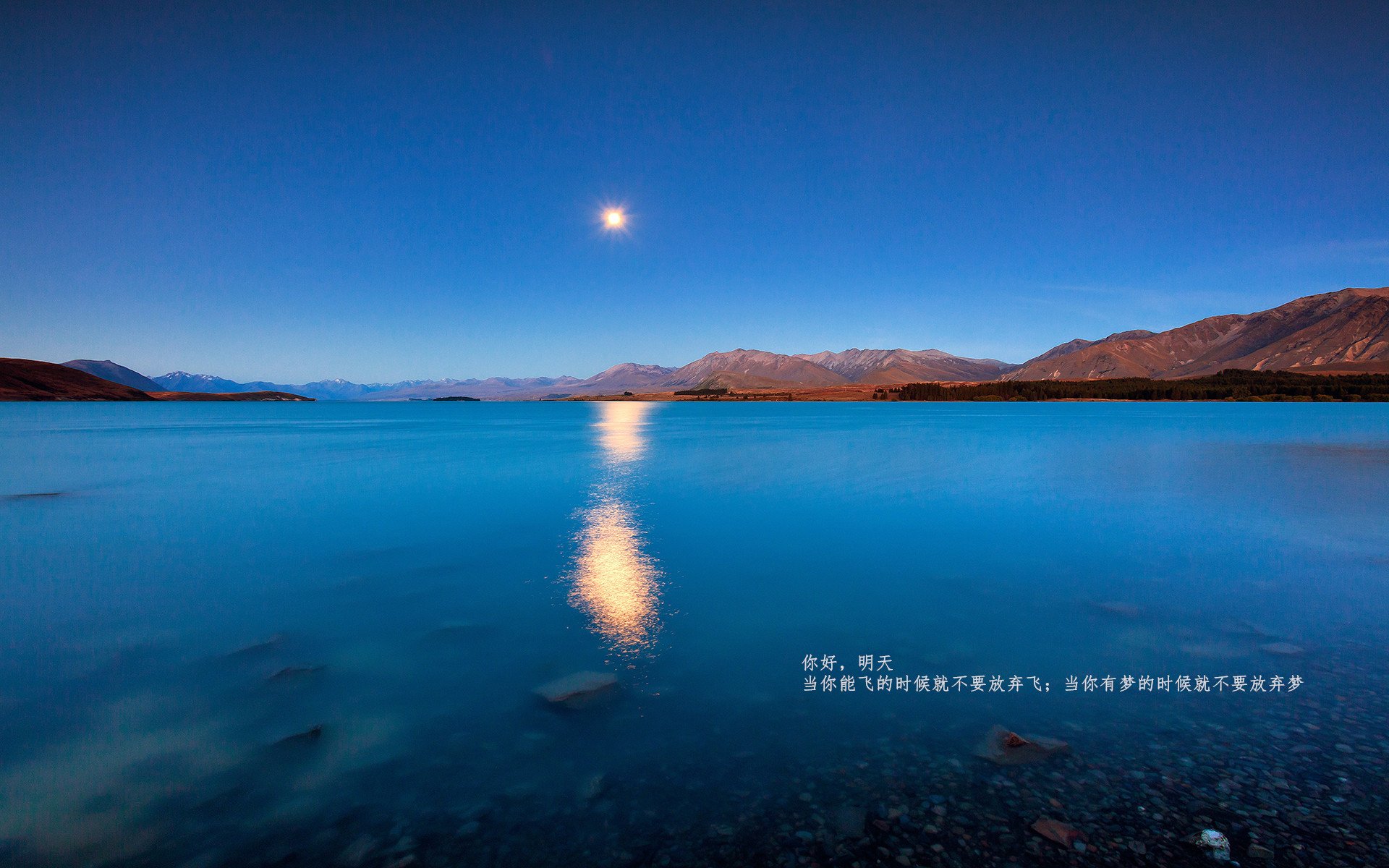 北欧神话破灭之夜，勒沃库森闪电战击碎芬兰童话，锁定年度焦点之战王座