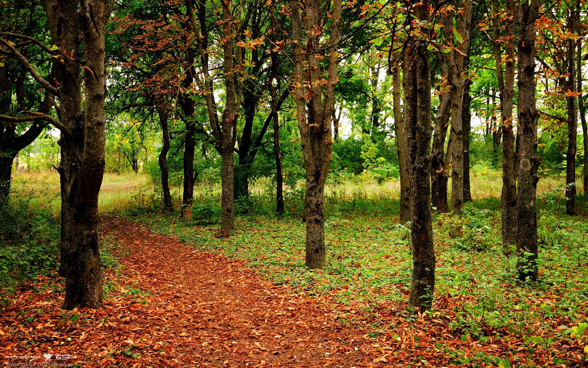 极限逆转，从F1开赛轰鸣到篮球场上的22分绝地反击