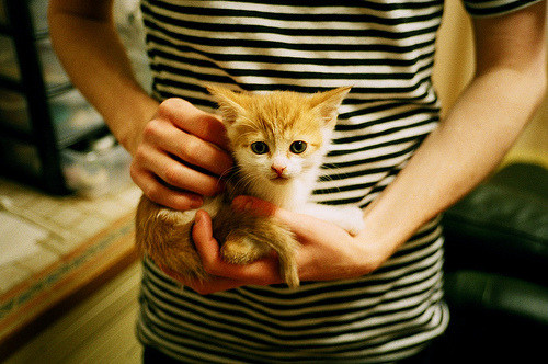 猛龙血血战步行者，小贾伦·杰克逊化身定海神针