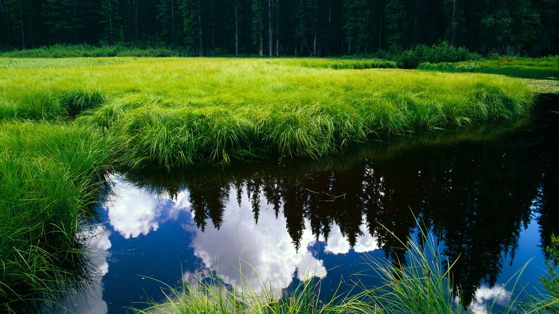 绿茵场的大洪水，巴雷拉如何像瑞典军团一样席卷波兰防线