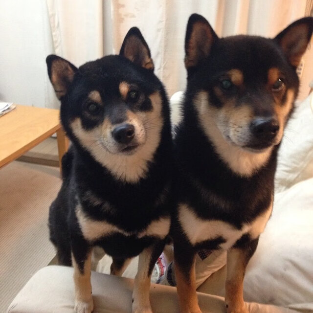 扩展思维后拟定的标题