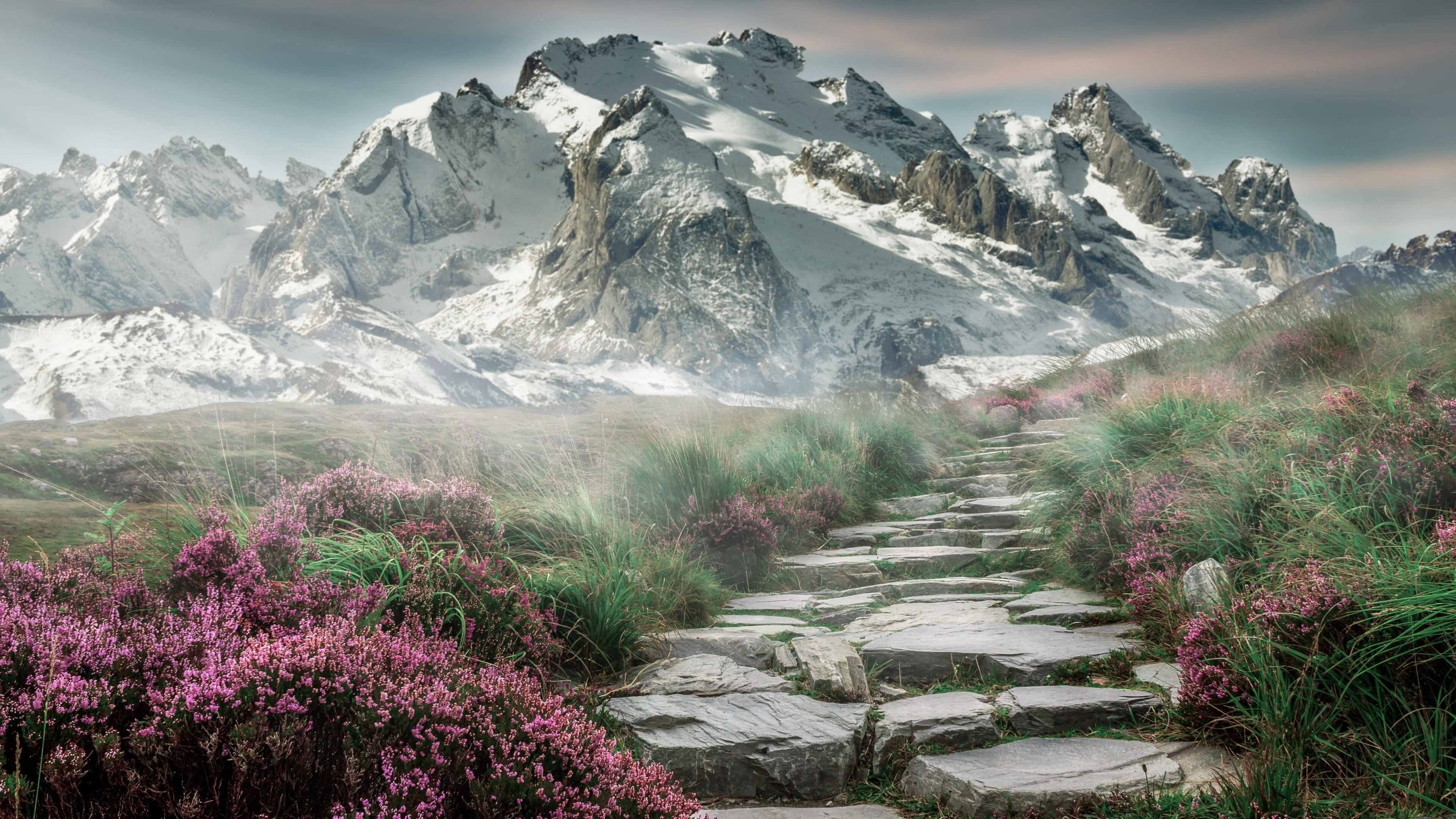 一个人的教科书,奥利维耶点亮曼联晋级之路