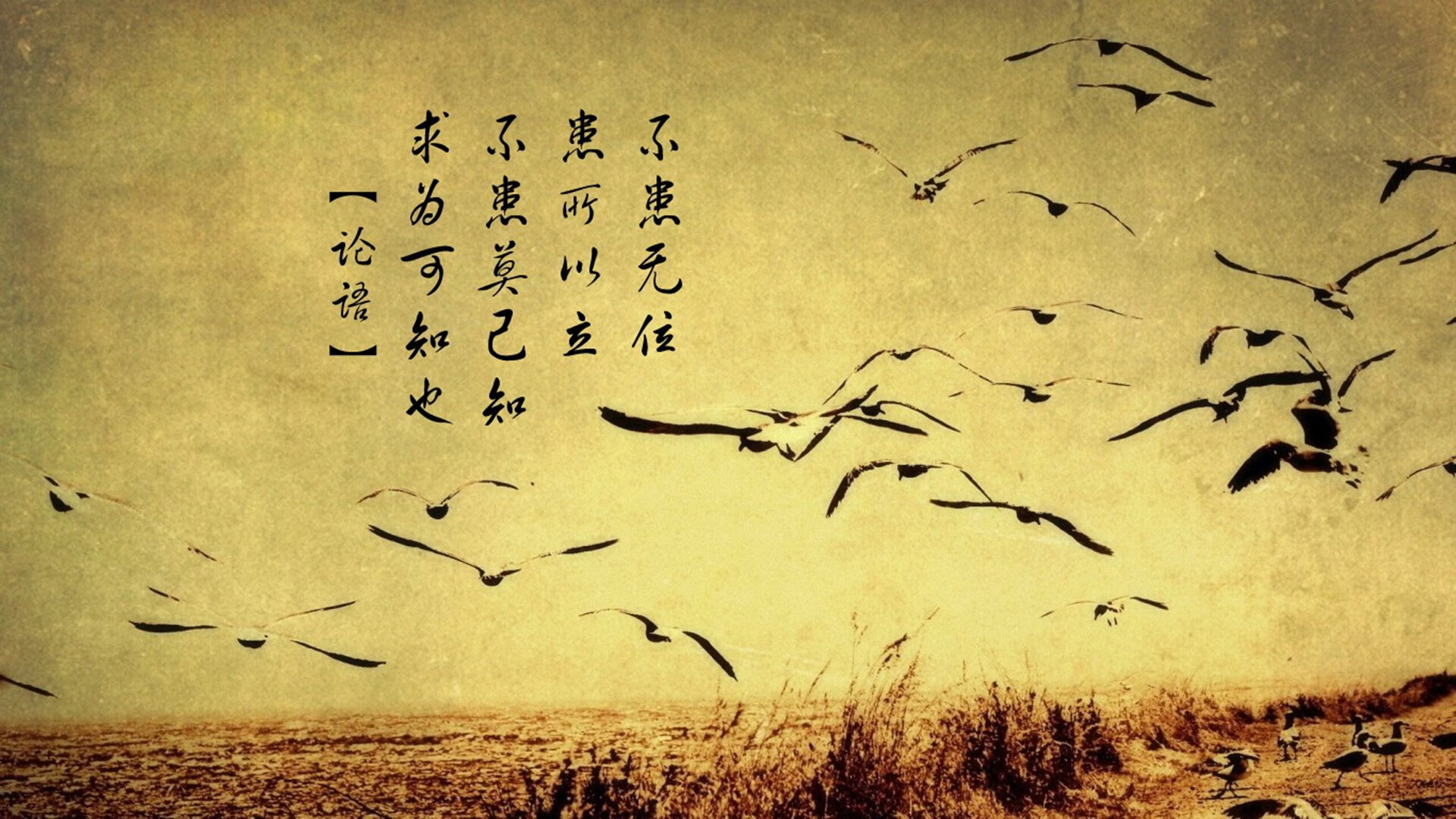 跨界传奇，从智利击穿罗马到姆巴佩欧冠封神