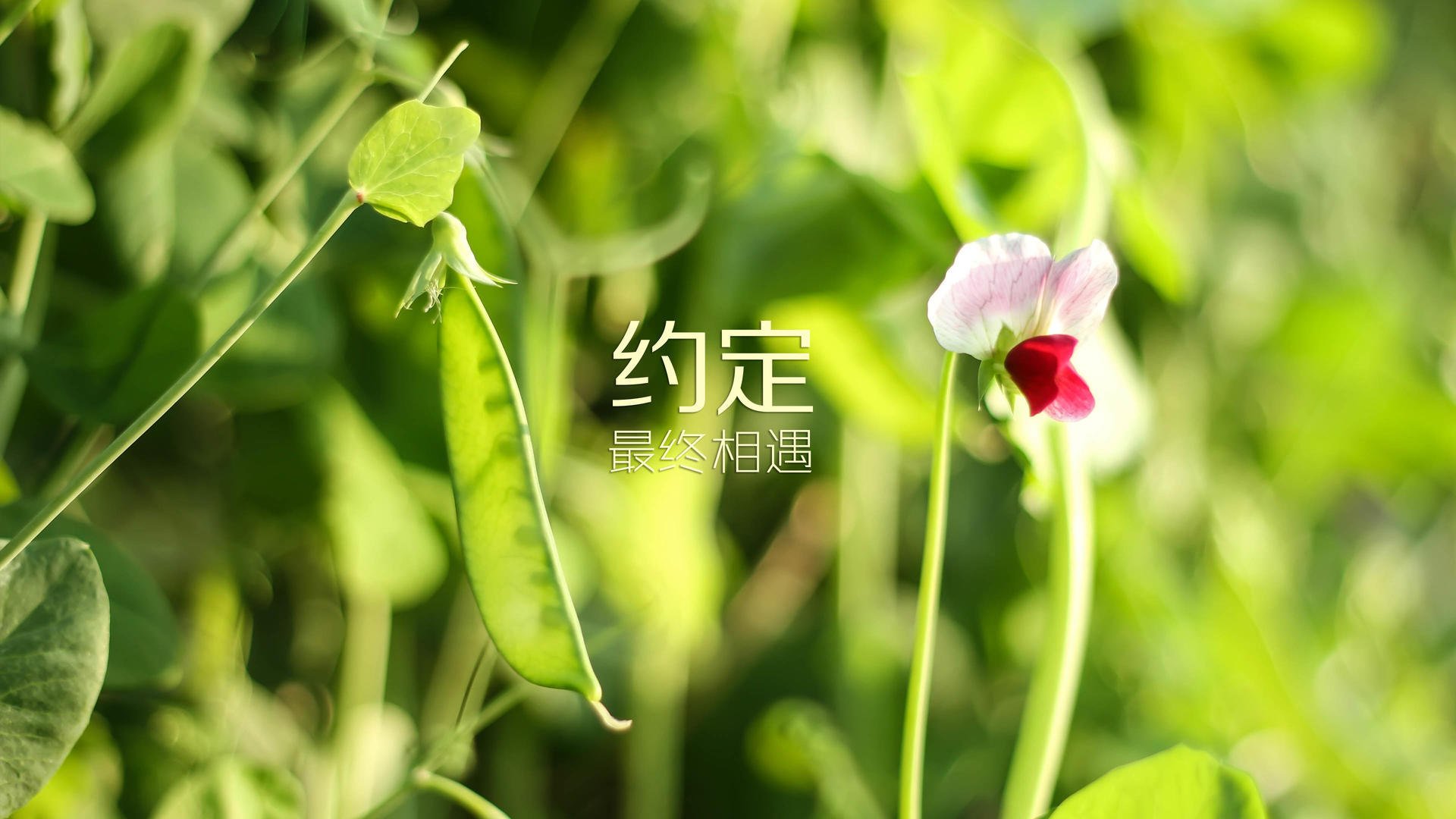 首先,我们扩展思维,构思一个能抓住唯一性和反常规核心的标题