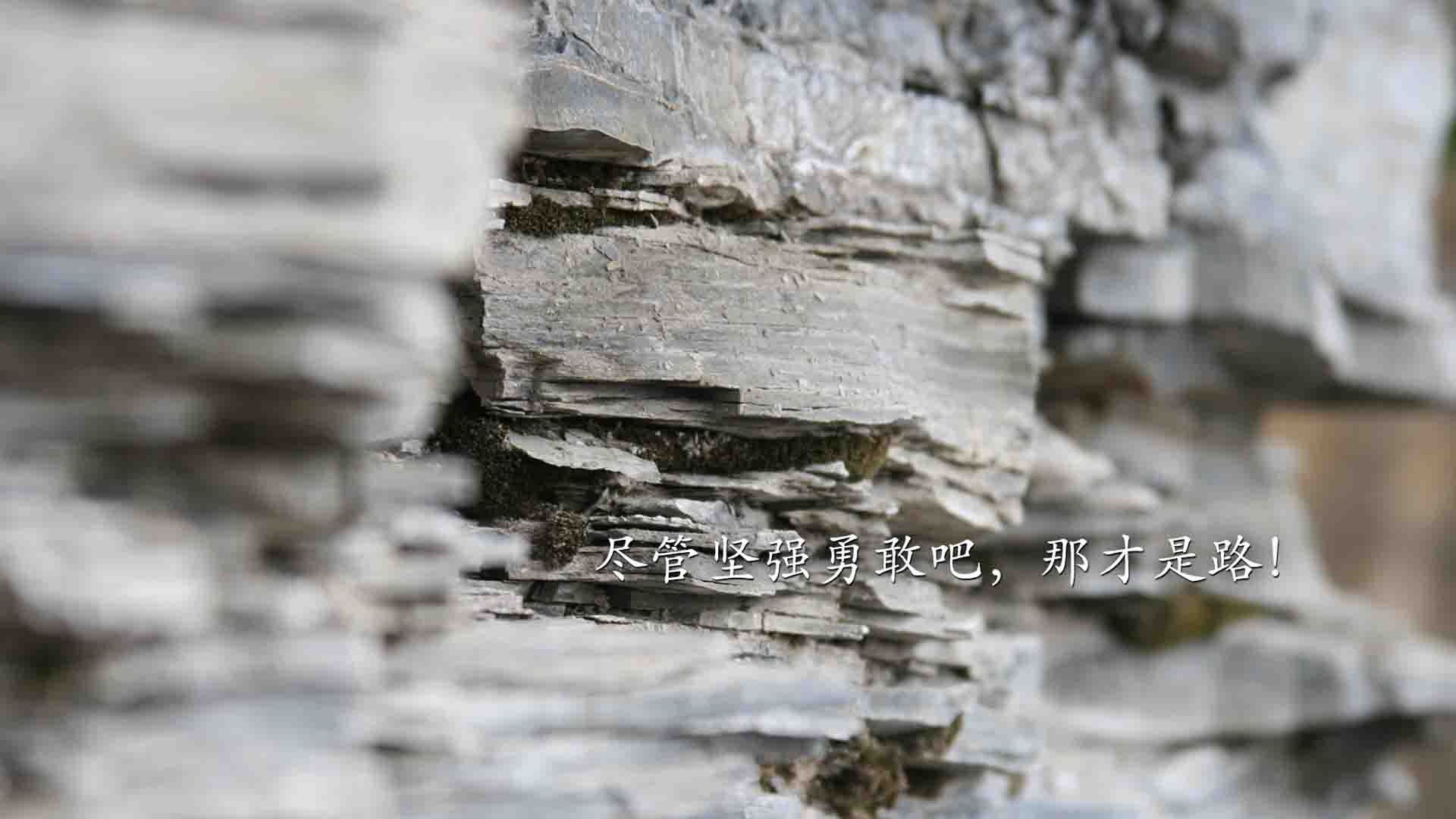 一个人的战争,当福登将太极虎的獠牙,锻造成智利红魔的逆袭之刃