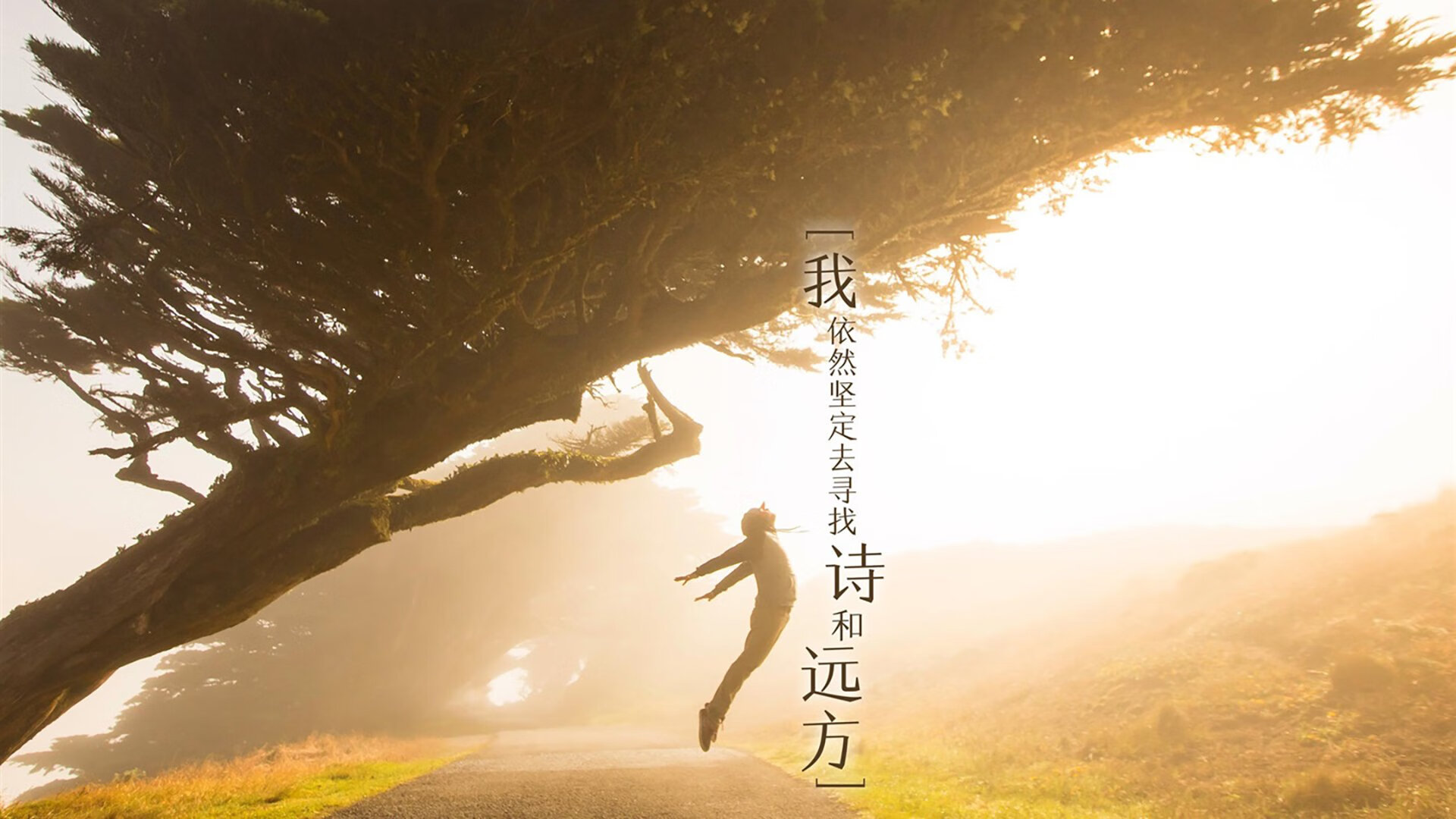 亚洲之翼折戟非洲雄狮,2026世界杯B组,孙兴慜独舞难救主,加纳掀起黑色风暴完胜日本